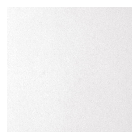 Usg Interiors 12x12 Ceil Tile 4290